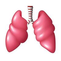 réaliste Humain poumons respiratoire, vecteur illustration