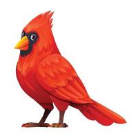 mignonne cardinal oiseau dessin animé illustration isolé sur blanc Contexte vecteur