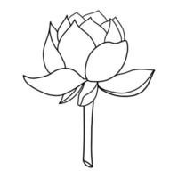 contour lotus fleur isolé sur blanc Contexte. vecteur illustartion