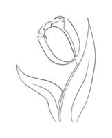 tulipes ligne art dessin vecteur