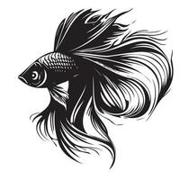 betta poisson vecteur illustration, combat poisson logo conception