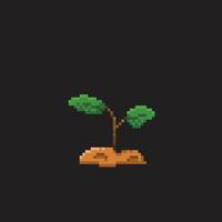 peu plante dans pixel art style vecteur