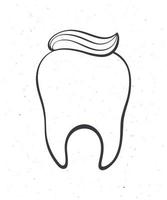 nettoyer en bonne santé Humain dent avec dentifrice. contour. vecteur illustration. symbole de somatologie et oral hygiène. main tiré esquisser. isolé blanc Contexte