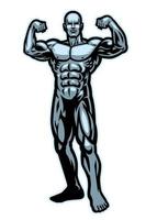 bodybuilder fléchissement muscle pose vecteur