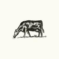 ancien main tiré silhouette illustration de une vache en mangeant herbe. grunge vecteur