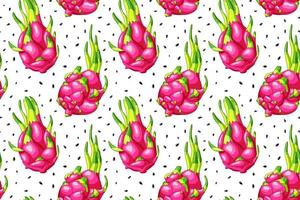 coloré pitaya sans couture modèle. biologique juteux dragon fruit. sucré pitaya. été sucré exotique nourriture vecteur