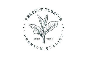 ancien rétro main dessiner esquisser le tabac plante arbre feuille feuilles pour cigare badge emblème étiquette logo conception vecteur