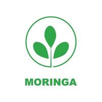 logo de feuille de moringa vert, pour les ingrédients à base de plantes, l'agriculture de moringa, la santé, l'industrie de la médecine, la beauté, la thérapie, le modèle d'icône d'illustration vectorielle de conception de concept avec un concept moderne vecteur