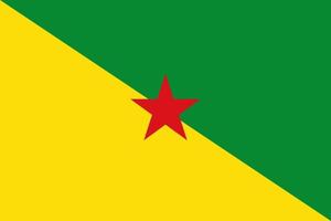 Facile drapeau de français Guyane vecteur