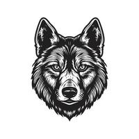 cool loup, ancien logo concept noir et blanc couleur, main tiré illustration vecteur