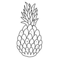 ananas dans main tiré griffonnage style. vecteur illustration isolé sur blanc arrière-plan, coloration livre.