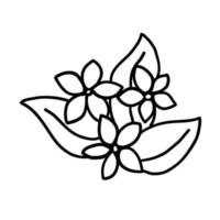 fleur dans contour griffonnage plat style pour coloration. Facile floral élément plante feuilles décoratif conception. main tiré ligne art. Créatif esquisser. vecteur illustration isolé sur blanc Contexte.