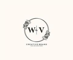 initiale wv des lettres main tiré féminin et floral botanique logo adapté pour spa salon peau cheveux beauté boutique et cosmétique entreprise. vecteur