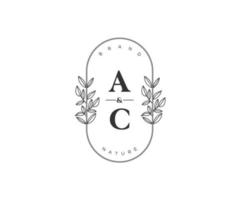 initiale ac des lettres magnifique floral féminin modifiable premade monoline logo adapté pour spa salon peau cheveux beauté boutique et cosmétique entreprise. vecteur