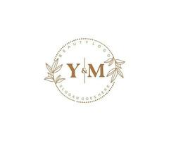 initiale ym des lettres magnifique floral féminin modifiable premade monoline logo adapté pour spa salon peau cheveux beauté boutique et cosmétique entreprise. vecteur