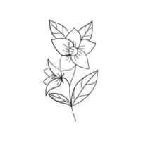 tournesol - vecteur illustration isolé sur blanc Contexte. noir lignes fleurs Icônes ensemble. vecteur isolé floral éléments.