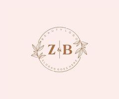 initiale zb des lettres magnifique floral féminin modifiable premade monoline logo adapté pour spa salon peau cheveux beauté boutique et cosmétique entreprise. vecteur