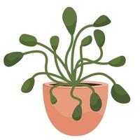 une plante d'intérieur en pot dans un style cartoon plat. un élément pour décorer votre maison, votre chambre ou votre bureau. illustration vectorielle isolée sur fond blanc. vecteur