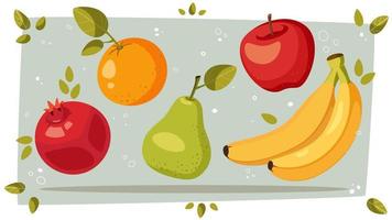 ensemble de vecteur des fruits dans dessin animé style. pomme, poire, banane, Grenade, orange. Frais été récolte. Ingrédients pour fruit plats.
