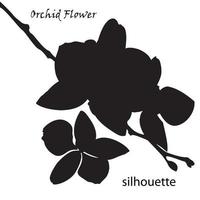 silhouette orchidée fleur isolé sur blanc Contexte vecteur