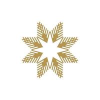 étoile modèle géométrique logo étoile icône vecteur
