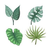 exotique plantes d'intérieur, banane feuille et monstera brindille vecteur