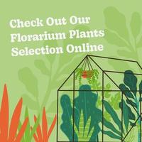 vérifier en dehors notre florarium les plantes sélections en ligne vecteur