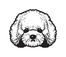 bichon frise affronter, silhouette chien affronter, noir et blanc bichon frise vecteur