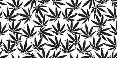 cannabis marijuana cannabis sans couture modèle feuille vecteur isolé Contexte fond d'écran blanc