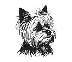 Yorkshire terrier affronter, silhouette chien affronter, noir et blanc Yorkshire terrier vecteur