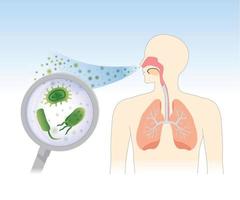 vecteur respiration virus dans poumons