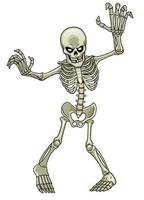 dessin animé de squelette fantôme vecteur