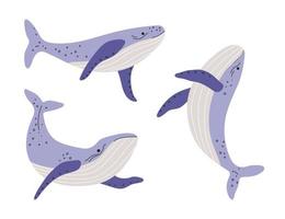 ensemble de main tiré baleines différent formes. puéril Marin personnages pour des gamins conception vecteur