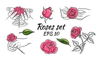 ensemble de roses. roses roses. collection d'illustrations vectorielles avec des fleurs. bourgeons, feuilles, roses dans les mains. vecteur