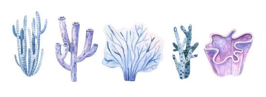 algue ensemble. sous-marin les plantes. aquarelle illustration. océan. algues marines algues, corail récif conception élément. aquarium les plantes silhouettes vecteur