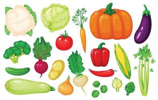 dessin animé des légumes. carotte, maïs, poivre, céleri, chou-fleur, brocoli, betterave, oignon, concombre. Frais biologique légume vecteur ensemble