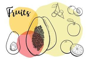 fruit dessin au trait collection illustration coloré flashy. vecteur