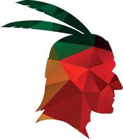 vecteur image de tribal guerrier rempli avec coloré modèle