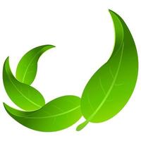 vecteur collection de vert feuilles soigneusement arrangé avec réaliste clair ombres et blanc Contexte. vecteur feuilles. vert feuilles de des arbres et les plantes. élément pour logo éco et bio.