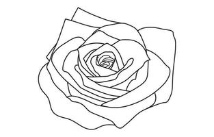 Rose vecteur graphique conception, pour impressions, vecteur illustration