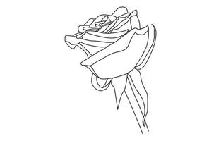 Rose vecteur graphique conception, pour impressions, vecteur illustration