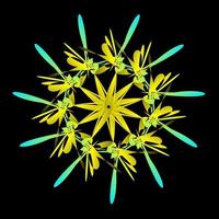 étoile vêtue d'une fleur symétrique vecteur