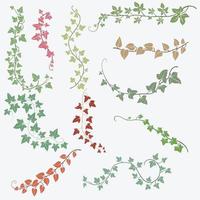 lierre floral dessinant une collection de design plat d'ornement décoratif. vecteur