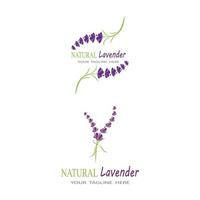 lavande logo modèle vecteur symbole nature