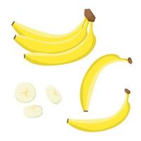 grappes de banane des fruits, banane tranche isolé sur blanc Contexte. végétalien nourriture vecteur Icônes dans une branché dessin animé style. en bonne santé nourriture concept.vecteur illustration