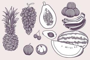 Icônes de nourriture végétalienne dessinés à la main doodle ensemble tels que raisin, banane, pomme, pastèque, cerise, orange, papaye, banane, etc. vecteur