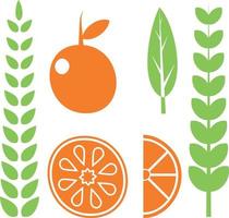 main dessin de Orange des fruits et plante feuilles vecteur