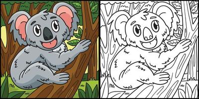 koala coloriage illustration colorée vecteur