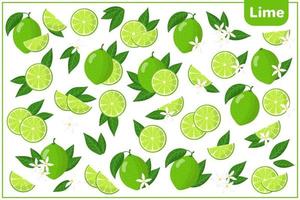 ensemble d'illustrations de dessin animé de vecteur avec des fruits exotiques de citron vert, des fleurs et des feuilles isolés sur fond blanc