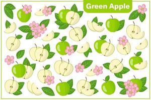 ensemble d'illustrations de dessin animé de vecteur avec des fruits exotiques pomme verte, des fleurs et des feuilles isolées sur fond blanc